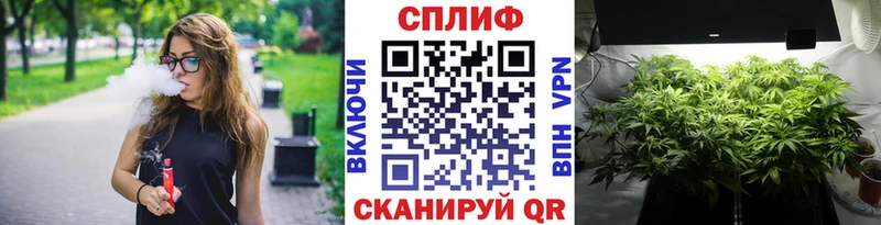 МЕФ Лодейное Поле