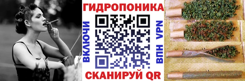 Бошки марихуана индика  Лодейное Поле 